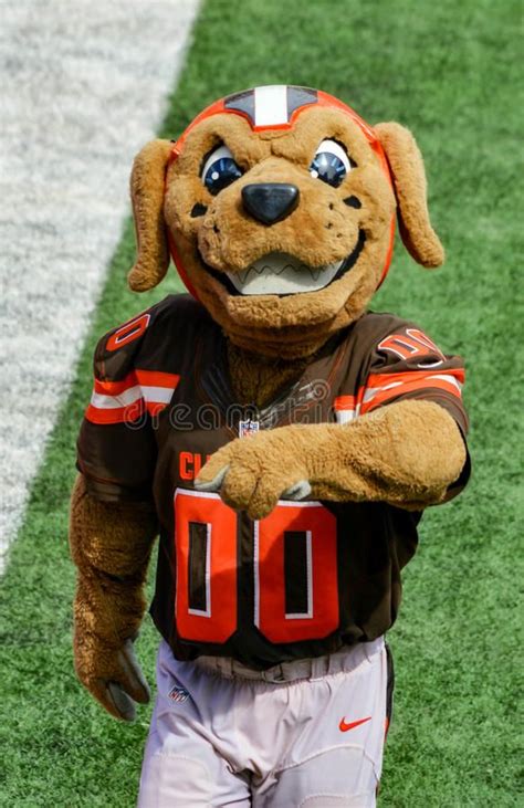The Cleveland Browns' mascot: a source of joy and entertainment